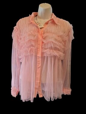 Why Sheer Pink Ruffle Button-Up Blouse